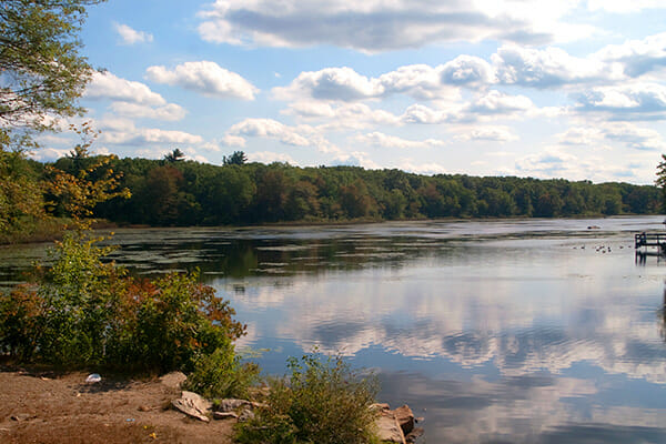 Pond Meadow Park in Braintree, Ma