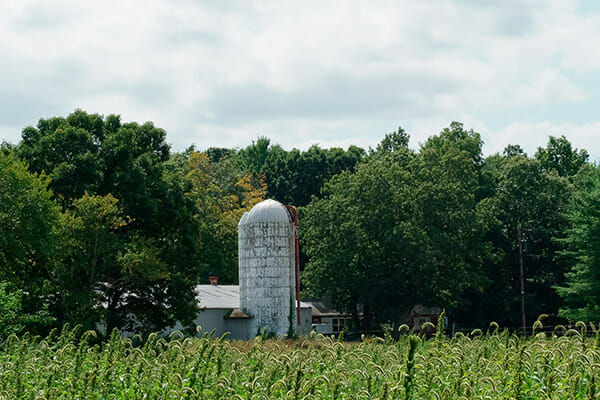 Farm in Dover, Ma