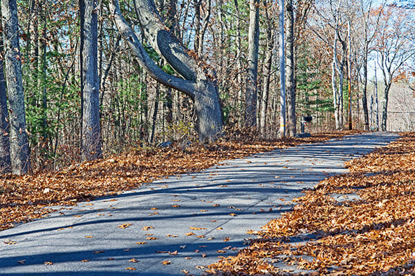 Leaf covered road in Oxford, Ma